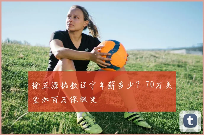 徐正源执教辽宁年薪多少？70万美金加百万保级奖