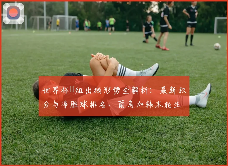 世界杯H组出线形势全解析：最新积分与净胜球排名，葡乌加韩末轮生死战预测