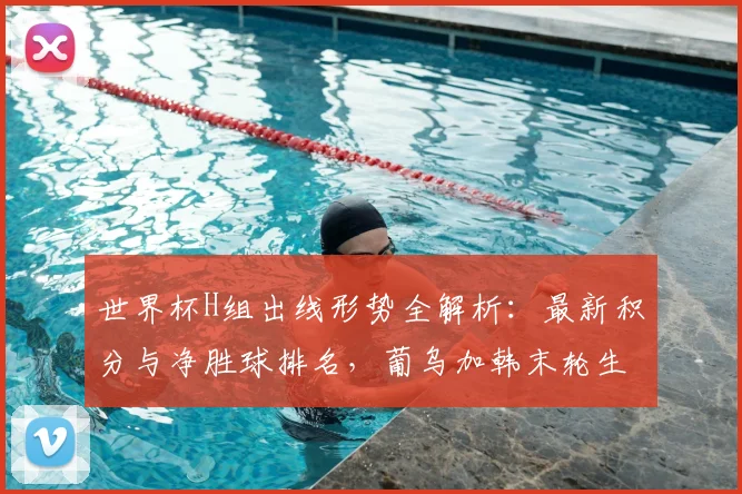 世界杯H组出线形势全解析：最新积分与净胜球排名，葡乌加韩末轮生死战预测