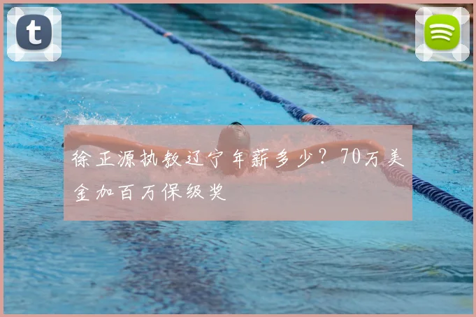 徐正源执教辽宁年薪多少？70万美金加百万保级奖